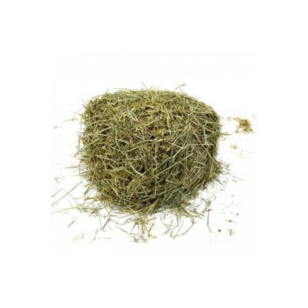 Купить Ephedra sinica (Ma huang) 10 грамм