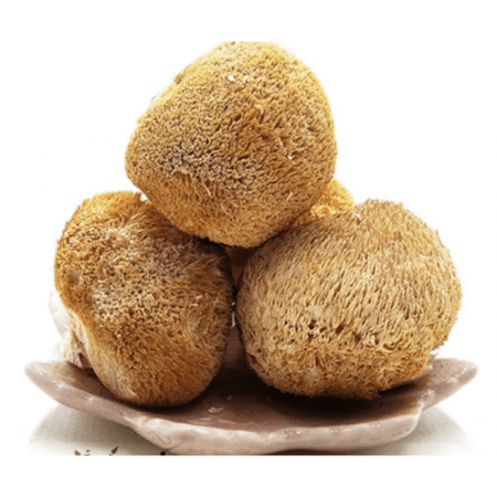 Купить Оптом - Гериций, Ежовик Гребенчатый, цельный гриб (Львиная Грива, Hericium Еrinaceus, Lion's Mane, Pom-Pom blanc)