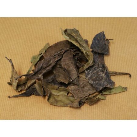 Купить Листья Diplopterys Cabrerana (Чалипонка)