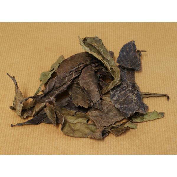 Купить Листья Diplopterys Cabrerana (Чалипонка)