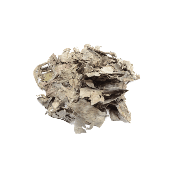 Купить Psychotria carthagenensis (Amyruca) 25 грамм сухих листьев