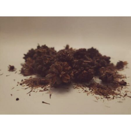 Купить Семена Кратом Kratom, Ketum (Mitragyna speciosa)