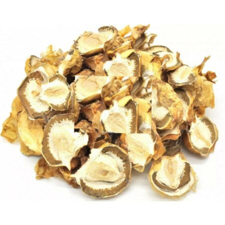 Купить Весёлка обыкновенная (Phallus Impudicus, Фаллюс Нескромный)