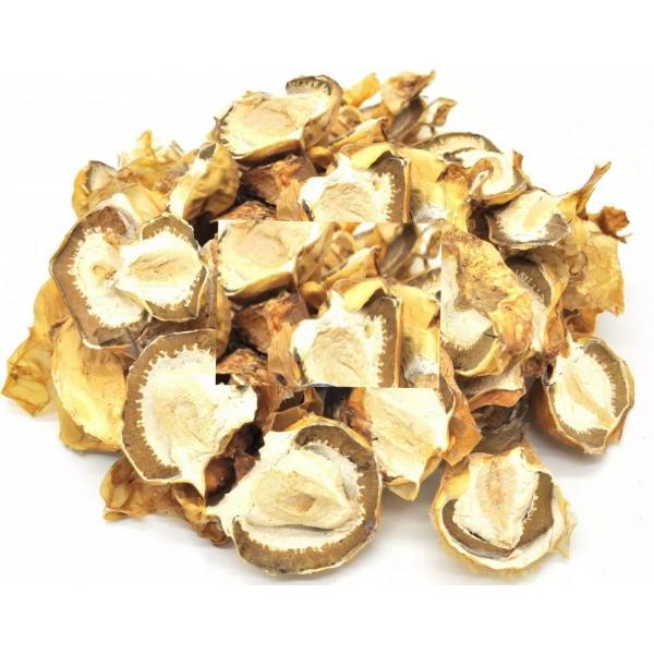 Купить Весёлка обыкновенная (Phallus Impudicus, Фаллюс Нескромный)