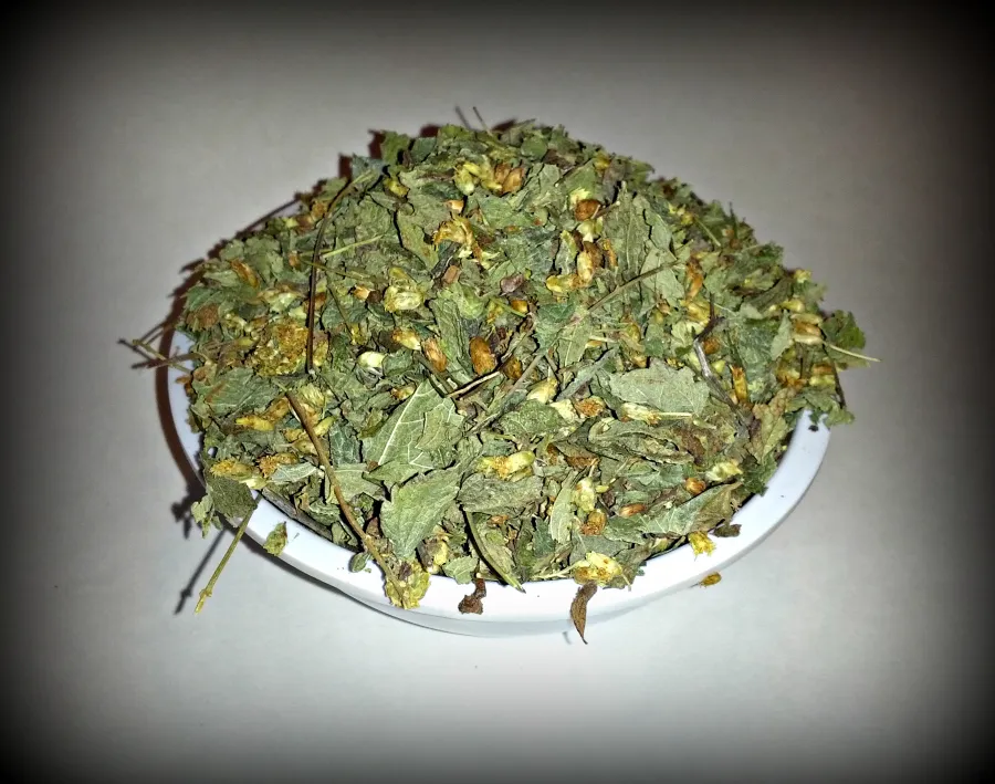 купить калея закатечичи | заказать калея закатечичи | калея закатечичи оптом